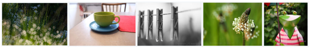 Wochenthema Foto Challenge "12 aus 52"